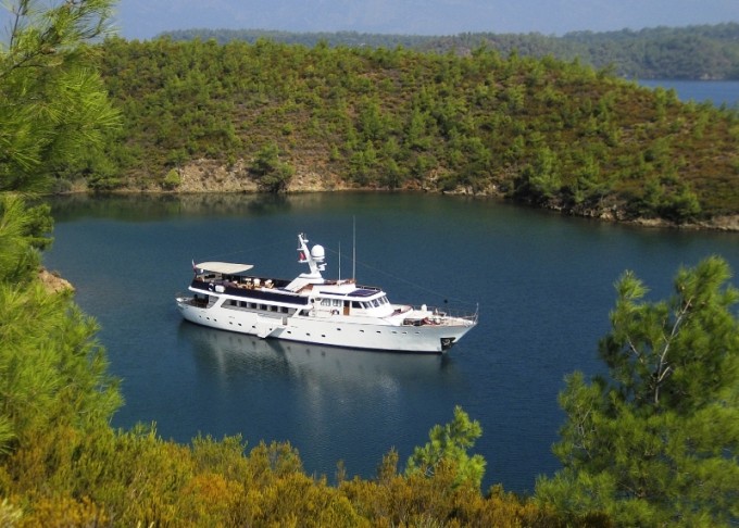 Gardenia -  In Turkey